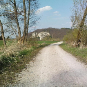 Trike 26 Nochmal Schotter mit Landschaft