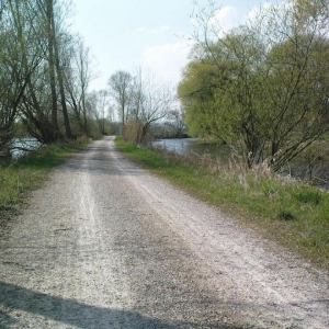 Trike 12 Schotterweg heftig