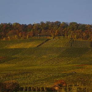 Wunnenstein