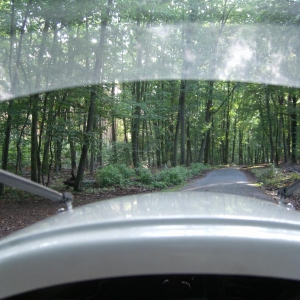 Da hab ich mich etwas im Wald verfahren...