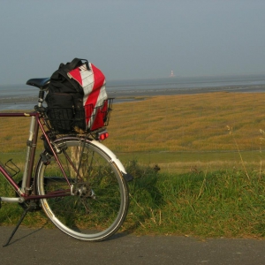 Gazelle, Herbst 2011, mit dem Leuchtturm von  Westerhever