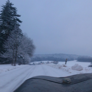 Oberpfälzer Hügel, bei Bachetsfeld