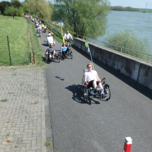 am Rhein