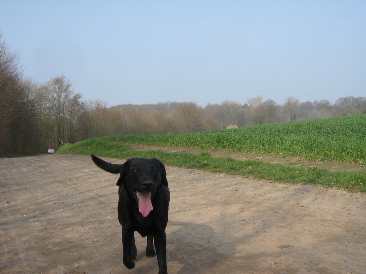 Auf dem Weg nach Windeby.