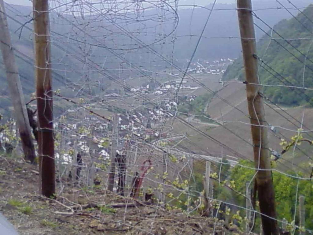 .... Blick ins Ahrtal, unten im Tal Dernau, hier fast ganz oben  Richtung Esch bzw. Richtung Bonn...