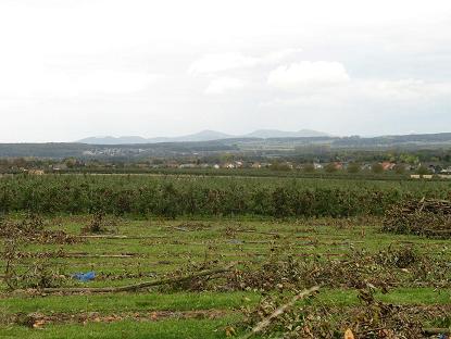 ..... Blick zurück auf das Siebengebirge und die Grafschaft .....