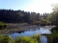 2016 Waldteich zwischenDettingenDingelsdorf03.jpg