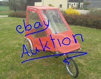 ebay Auktion.JPG