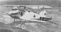 Albatros_D.I.jpg