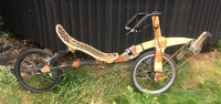 Mosquito Recumbent Bike1.jpg