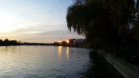 Rhein IMG-20191025-WA0010.jpeg