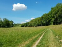 2020-05-31_Radtour_Strudel-_und_Kreuzbach_05.jpg