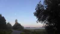 02 - Morgennebel am Havelkanal.jpg