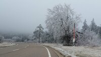 09_20201129_111942_Winterlandschaft 1800.jpg