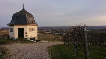 Rheingau (4).jpg