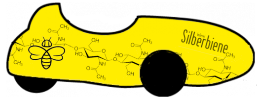 Silberbiene_chitin.png