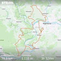 strava311560418841668741.jpg