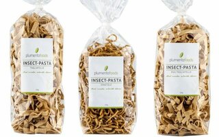 insect-pasta-dm-z-plumentofoods-190122-640x400.jpg