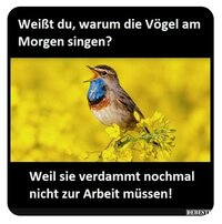 155_Singen, nicht arbeiten.jpg