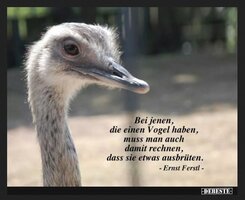 170_Einen Vogel haben.JPG