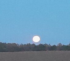 Mondaufgang vor Wulfsode.jpg