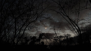 Astbogen mit Mond.jpg