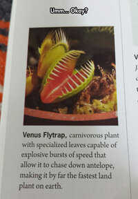 cool-Venus-Flytrap-plant-carnivorous.jpg
