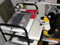 Skypen mit Linux.jpg
