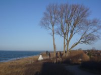 WP20150124_Ahrenshoop.jpg