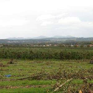 ..... Blick zurück auf das Siebengebirge und die Grafschaft .....