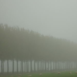 Aber selbst das schlechteste Wetter vermag nette Stimmungen in der Landschaft zu erzeugen.