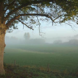 Morgenstimmung an der IJssel bei Deventer.