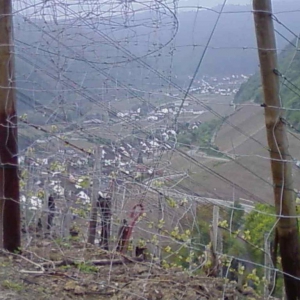 .... Blick ins Ahrtal, unten im Tal Dernau, hier fast ganz oben  Richtung Esch bzw. Richtung Bonn...