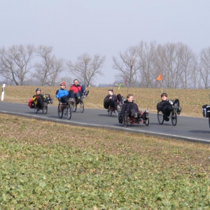 Über die Felder II