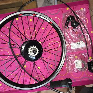 Hinterrad 20" mit Rohloff Speedhub