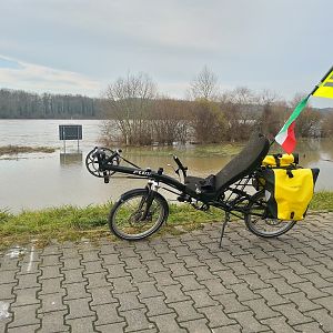 Hochwasser des Rheins südlich von Hessenaue