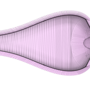 Nacaduct Draufsicht