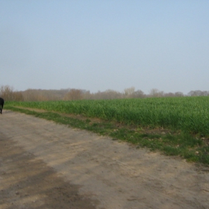 Auf dem Weg nach Windeby.