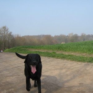 Auf dem Weg nach Windeby.