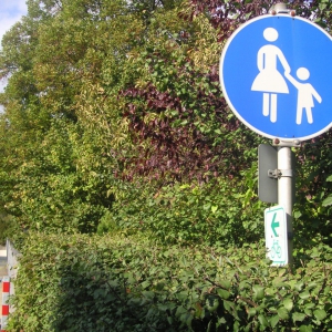 Radweg mit Drängelgitter