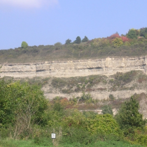 Zellingen überhängendes Gestein