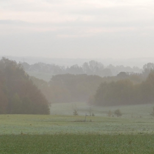 Weg zur Arbeit 4