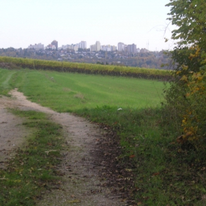 Würzburg, Heuchelhof auf dem Weg zum Waldfriedhof