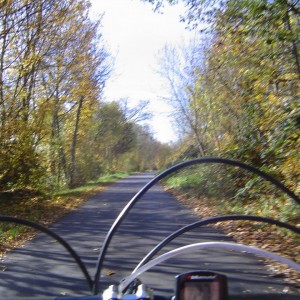 Neckartal Radweg zwischen Marbach und LB-Hoheneck