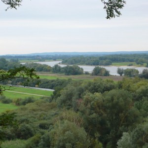 Elbe bei Boizenburg