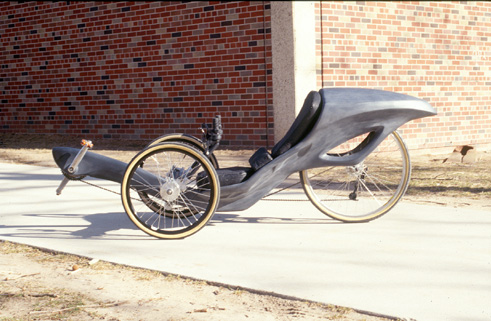 newtrike1-1.jpg