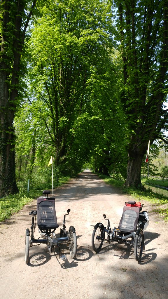 Alte Kastanienallee am Nordkanal