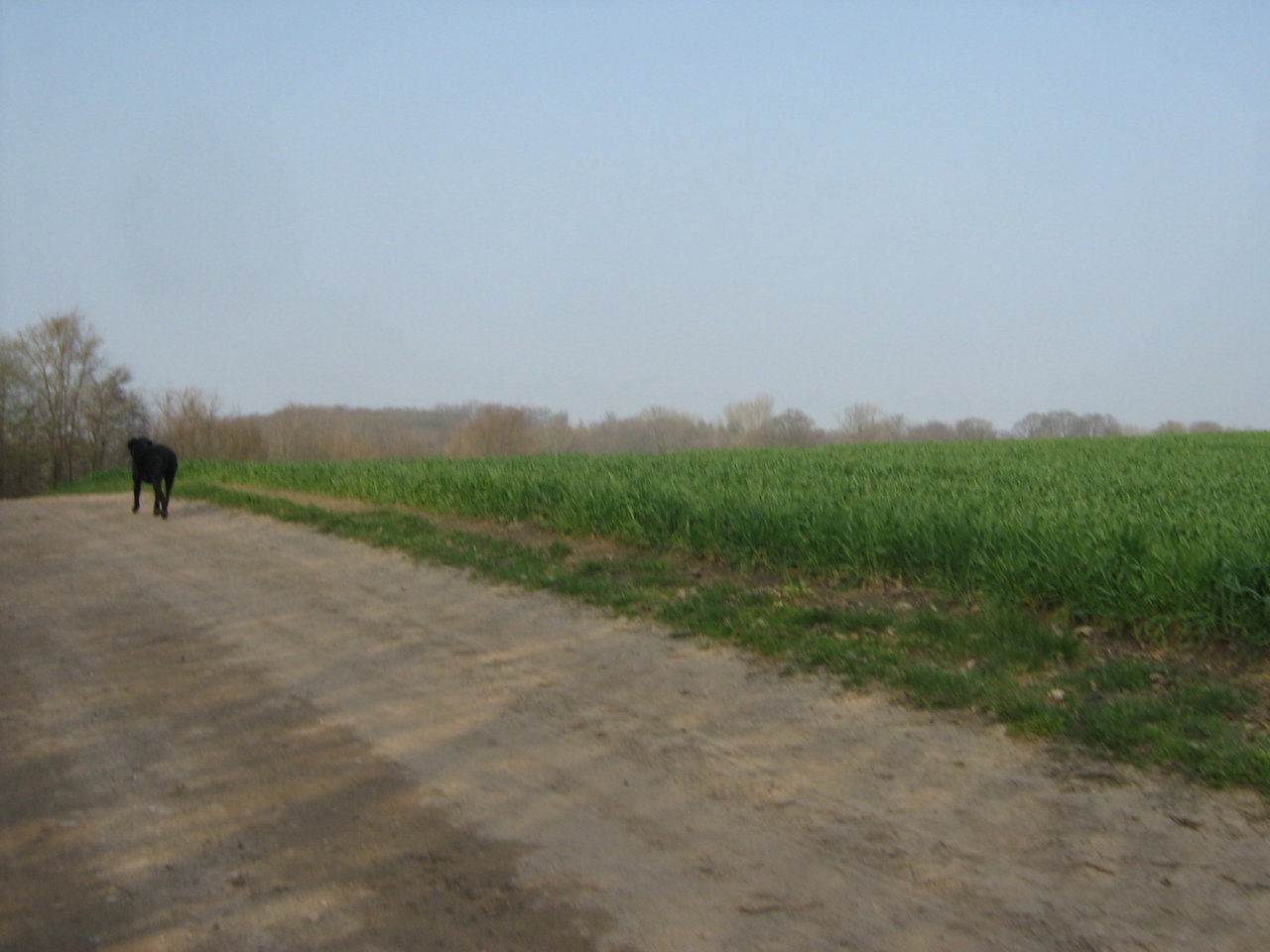 Auf dem Weg nach Windeby.