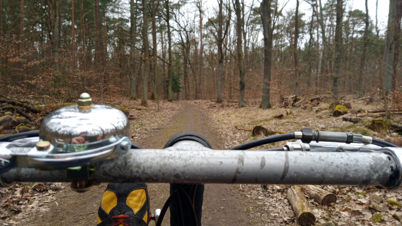 Ausgewiesener.Fahrradweg.jpg