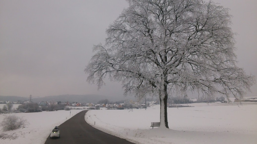 Blick auf Lintach, einer meiner Lieblingsbäume